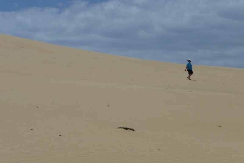 Nieuw-Zeeland 2011 - 0378